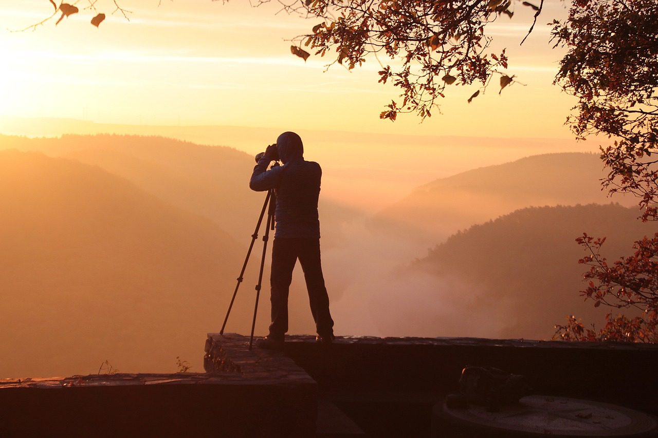 Photographing Birds